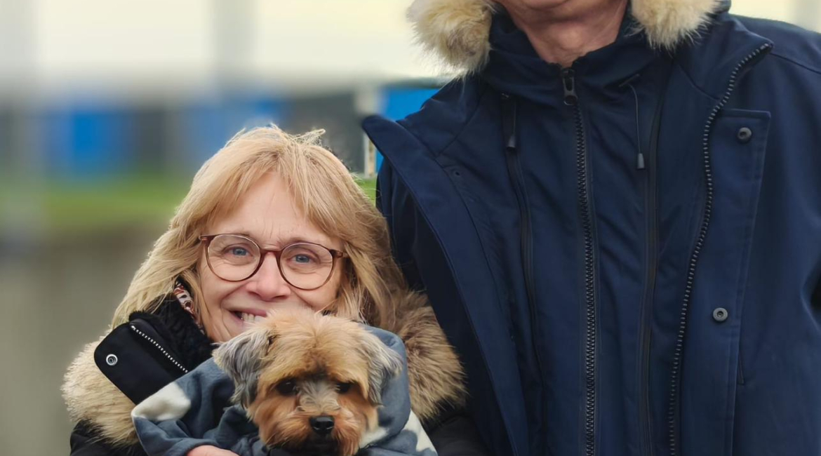 Chiens à adopter